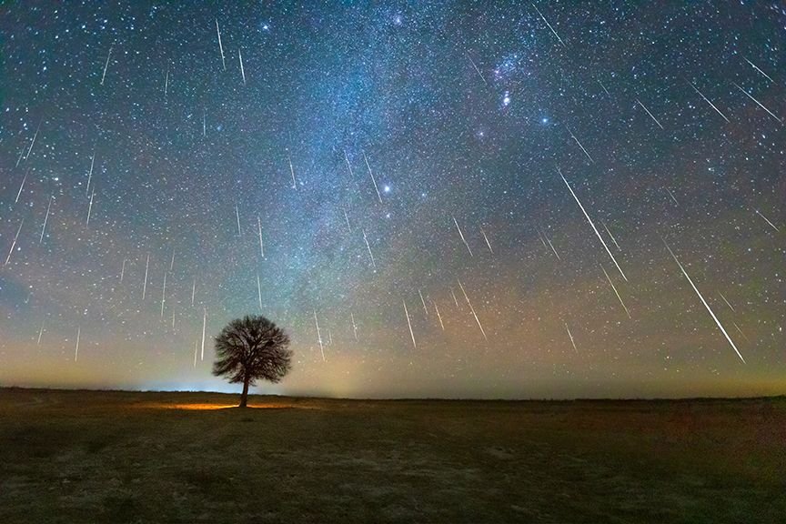 How to Watch the Leonids Meteor Shower How to Watch the Leonids Meteor Shower