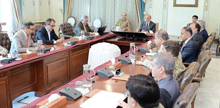 pakistan launches global investor outreach for discos privatisation