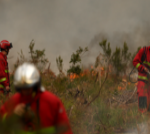 firefighters battle wildfire as tens of thousands evacuated near bordeaux