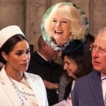 queen camilla is the ‘guard dog’ separating king charles, prince harry and meghan markle