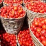 tomato prices skyrocket in pakistan