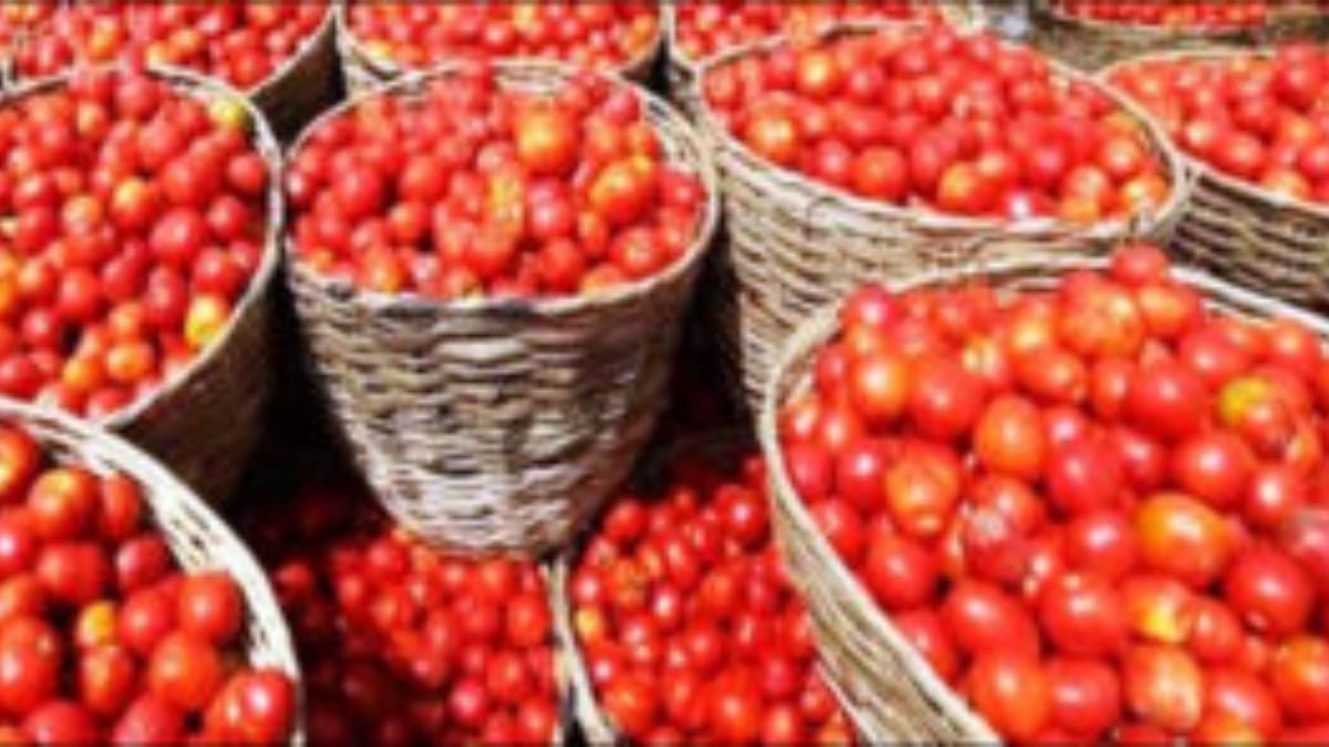 Tomato prices skyrocket in Pakistan